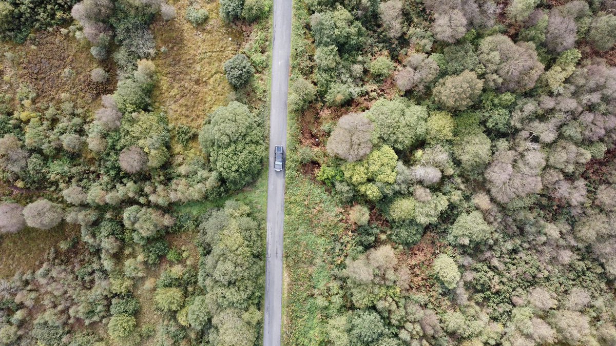 senanhogan's tweet photo. Leaves turning #kildoon #kildare #autumn https://t.co/jB9g4Kn3zr