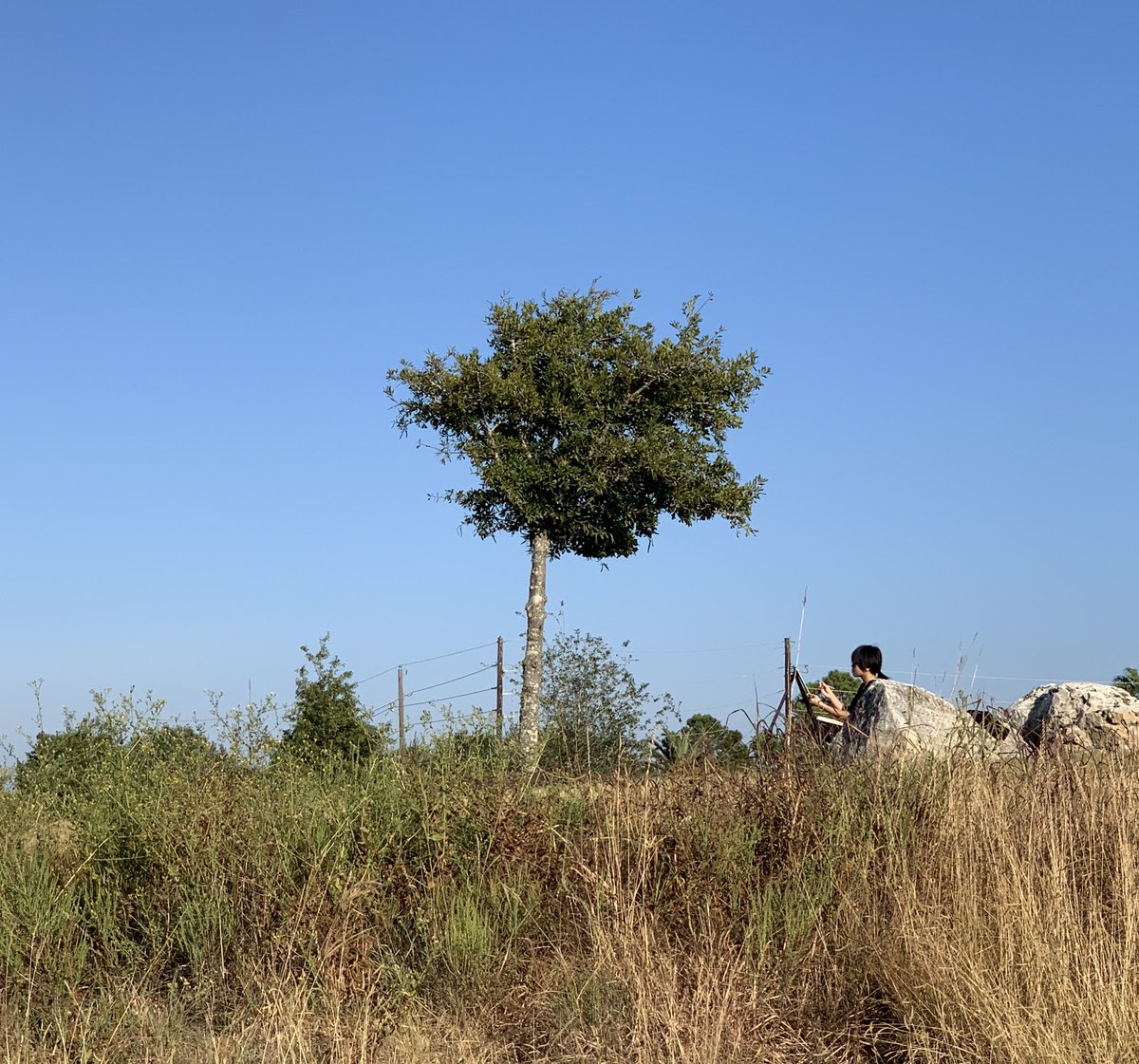 Maverick artists plein air painting on this beautiful morning at Willowfork Park. <a href="/MRHSart/">MRHS Art</a> <a href="/MRHSMavericks/">Morton Ranch HS</a> <a href="/KatyISDFineArts/">Katy ISD Fine Arts</a> #mavarts