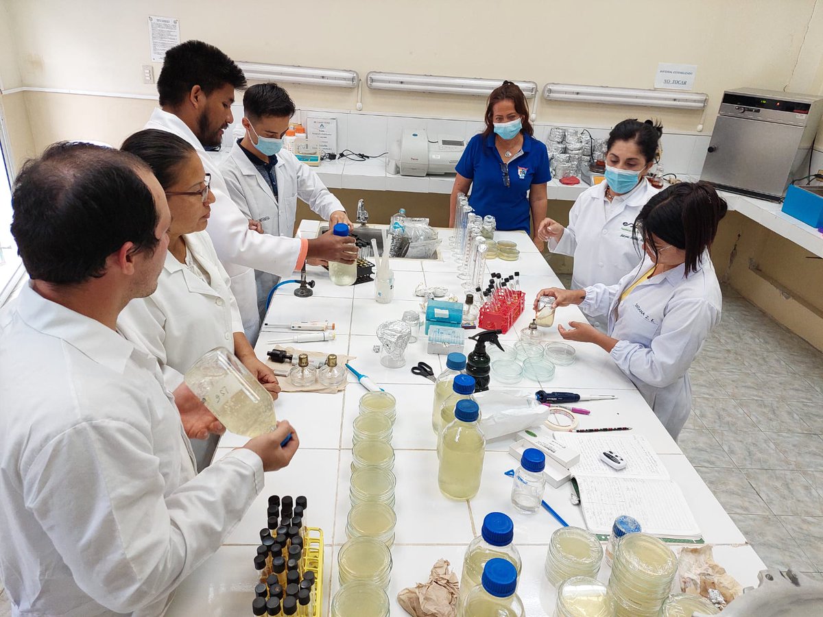 OswaldoGomezS's tweet photo. @oikossokio: RT @oikossokio: Investigadores y estudiantes de @espol y @UTMManabi comparten actividades de investigación en el marco del convenio de colaboración académica entre ambas instituciones. @fcvespol @CADS_ESPOL @DEC_INV_ESPOL @PantaVelez @SofiCa… https://t.co/lkZ02JfwWw