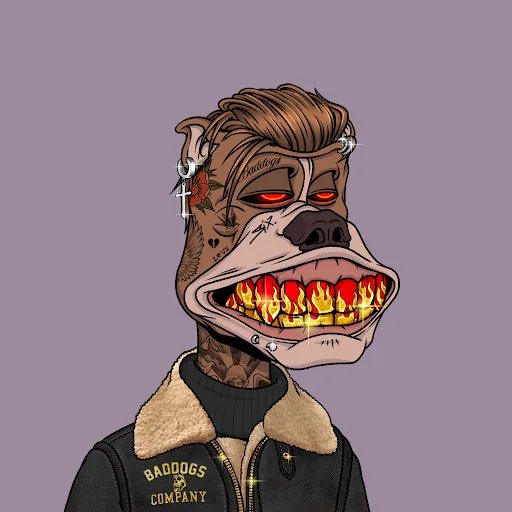 GM happy Saturday! For our final <a href="/BadDogsCompany/">Bad Dogs Company</a> giveaway we are running a few games nights. To find out how to win, join our discord and check the announcement 👀
Limited invites below, notis on for next round of invites ⚔️ 
discord.gg/MQWjKNW