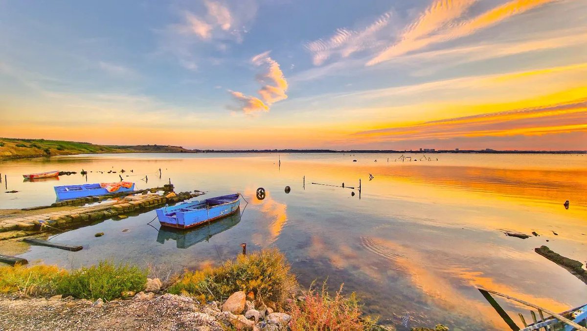 Made in Taranto © tweet media