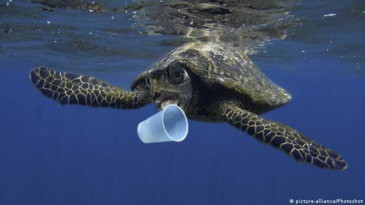 ClimateExec's tweet photo. Great article @OurWorldinData pointing to where to focus our efforts to end #plasticpollution in our #oceans: integrating better #wastemanagement #advancedrecycling A project we support in our #ClimateExecutiveAccelerator works on that
https://t.co/QMI1sTQu4t
#plasticwaste https://t.co/BJL7Hgmd7a