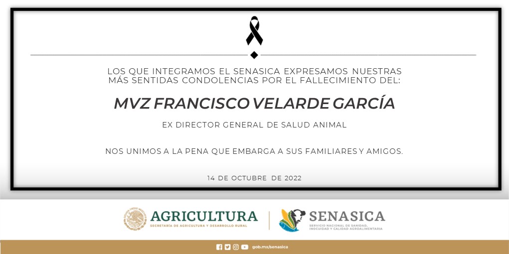 SENASICA's tweet photo. Lamentamos el sensible fallecimiento del MVZ Francisco Velarde García, que fuera Director General de Salud Animal, de esta institución. Expresamos nuestras condolencias a sus familiares y amigos https://t.co/7rF1fj0JKG