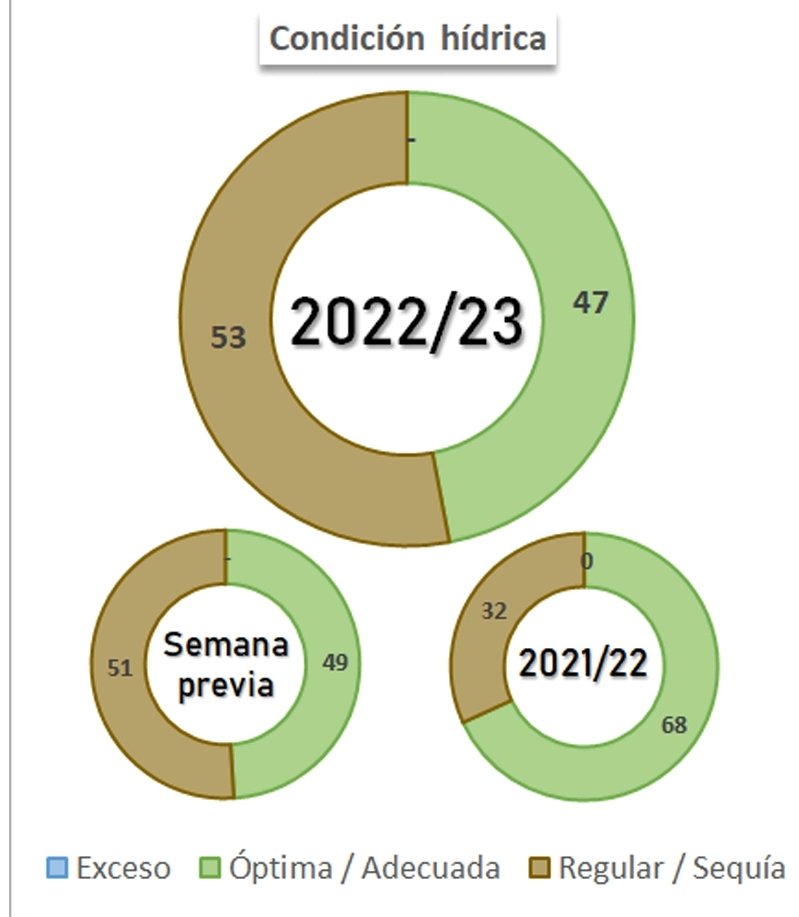Fernando Marull tweet media