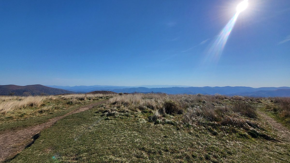 Peter Hodge tweet media