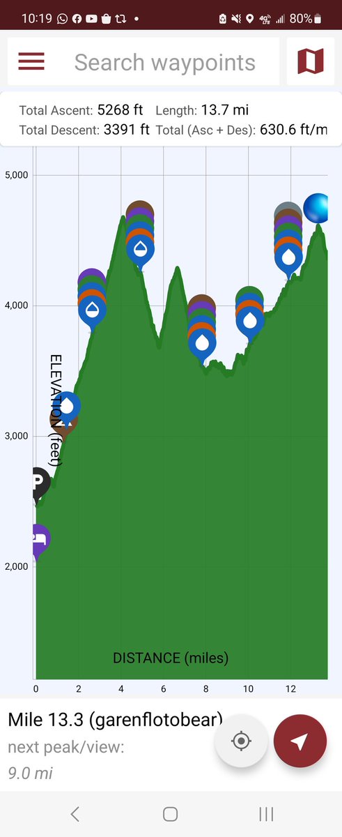 Peter Hodge tweet media