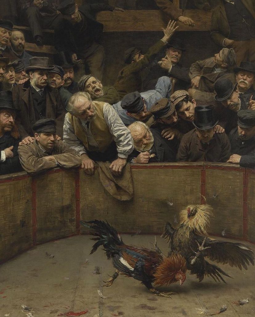 AcademiaAesthe1's tweet photo. Cockfight In Flanders, 1889 by Remy Coggho (1854-1935) https://t.co/0ruj4OQu8E