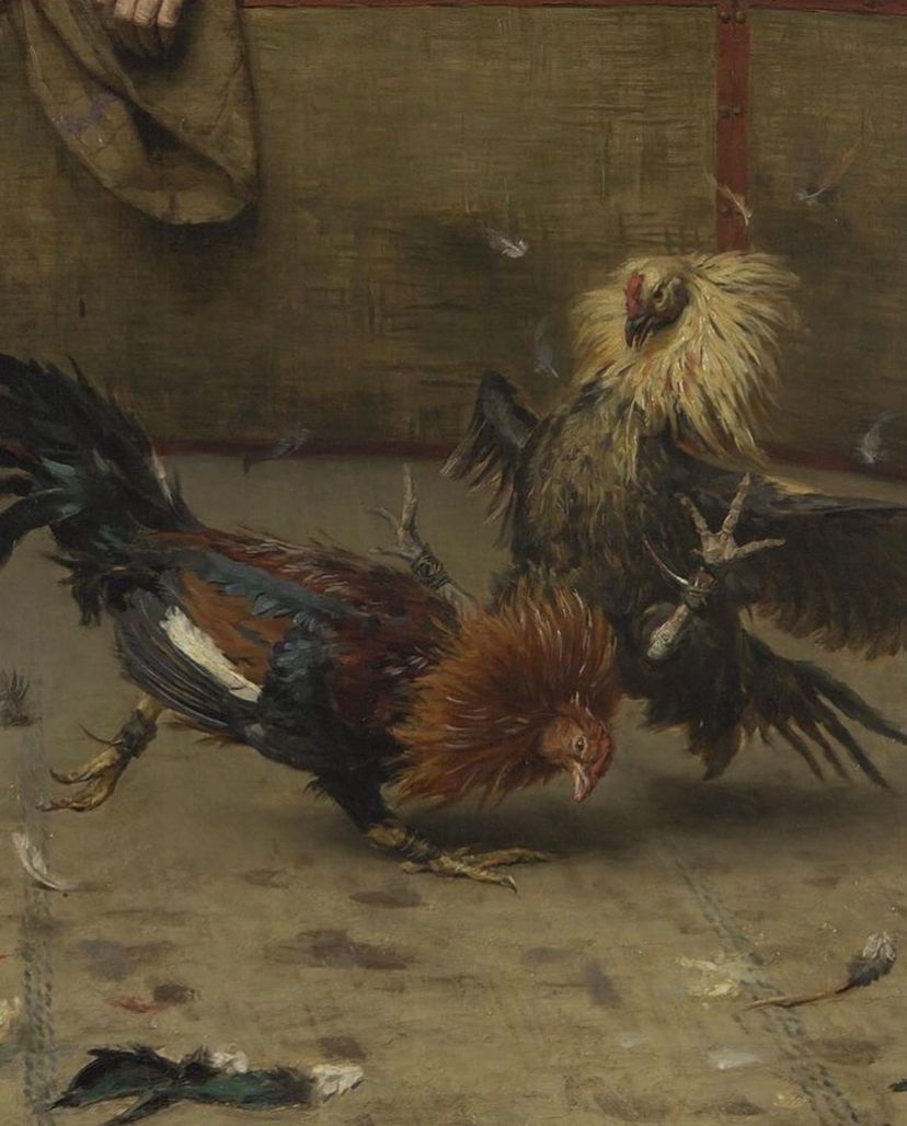AcademiaAesthe1's tweet photo. Cockfight In Flanders, 1889 by Remy Coggho (1854-1935) https://t.co/0ruj4OQu8E