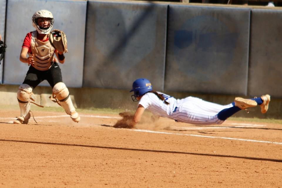Piedmont Athletics & Activities tweet media