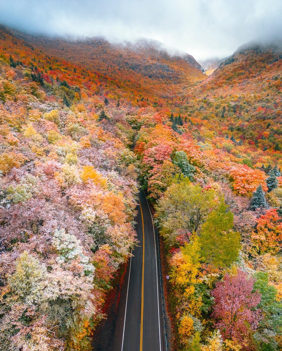 gm from above the fall foliage
