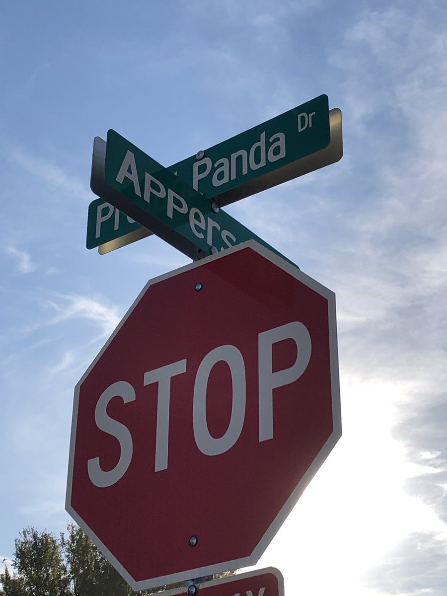 PophamLibrary's tweet photo. @DVISD_PES One School, One Book Story Walk at Apperson and Proud Panda. Come enjoy walking and reading over Fall Break! #PandasRead #BeAReader https://t.co/pEvPbdcQFj