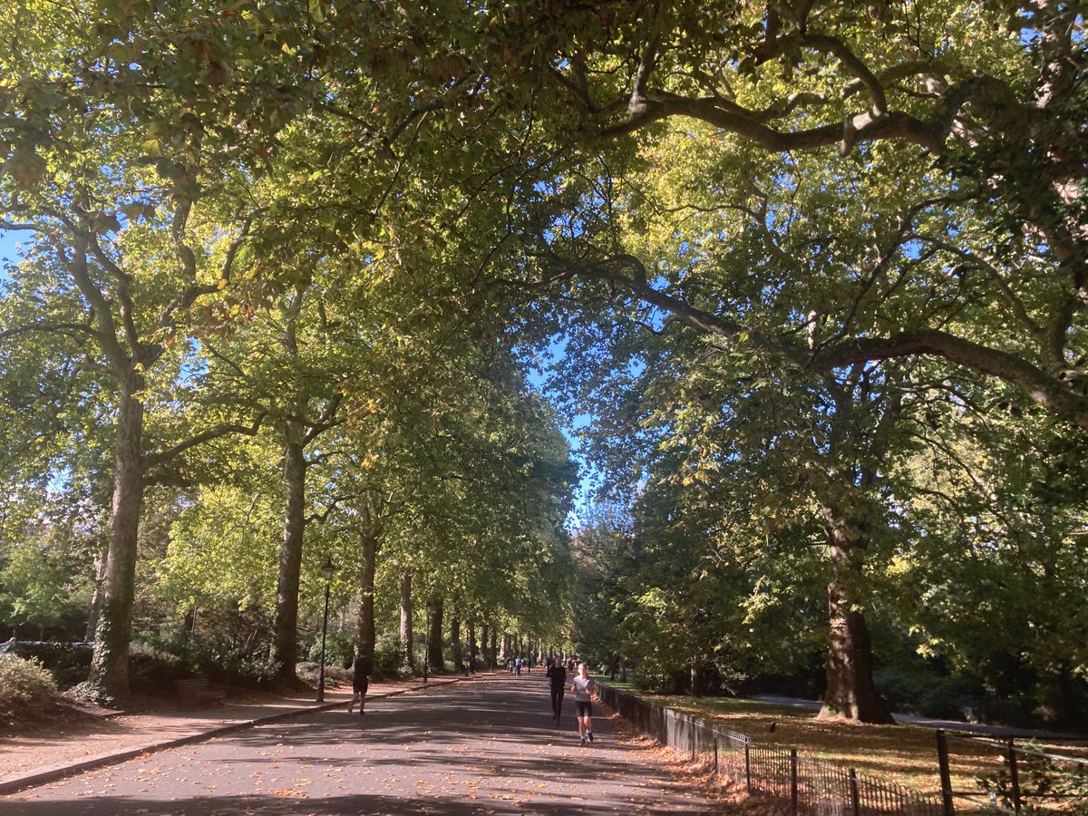 vickyfewkes's tweet photo. This was peak autumn #walkthethames ⁦@londonlegal⁩ ⁦@EalingLawCentre⁩ ⁦@LegalActionGrp⁩ https://t.co/CujMl3uxIw