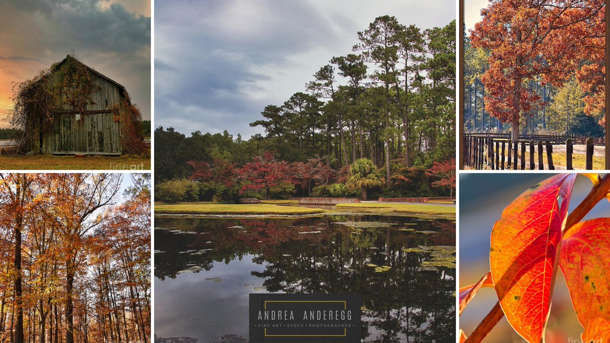 andreaanderegg's tweet photo. #AllTheFallThings Sale โ 30% Off Apparel, #Bags, Bed & Bath, #ThrowPillows + #ThrowBlankets
SHOP HERE: https://t.co/MbGD4i8tZU
#fall #falldecor #thanksgiving #Christmas #artsale #fineart #homedecor #dormdecor #minimalism #buyart #artforsale #quotes #Christmas2022 #ShopEarly https://t.co/wiEOeW1ENf