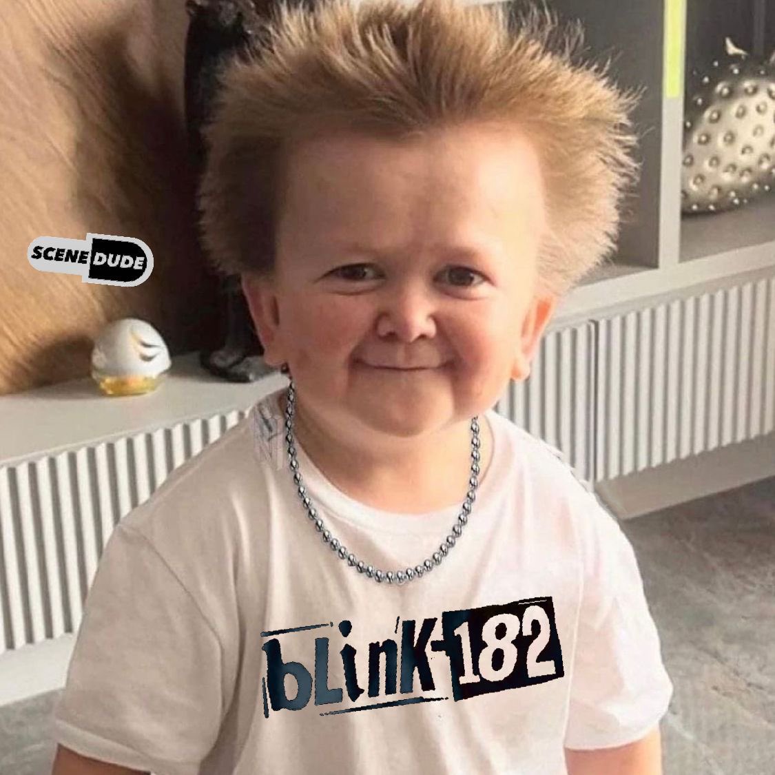 Every blink-182 fan right now 🤟🏼