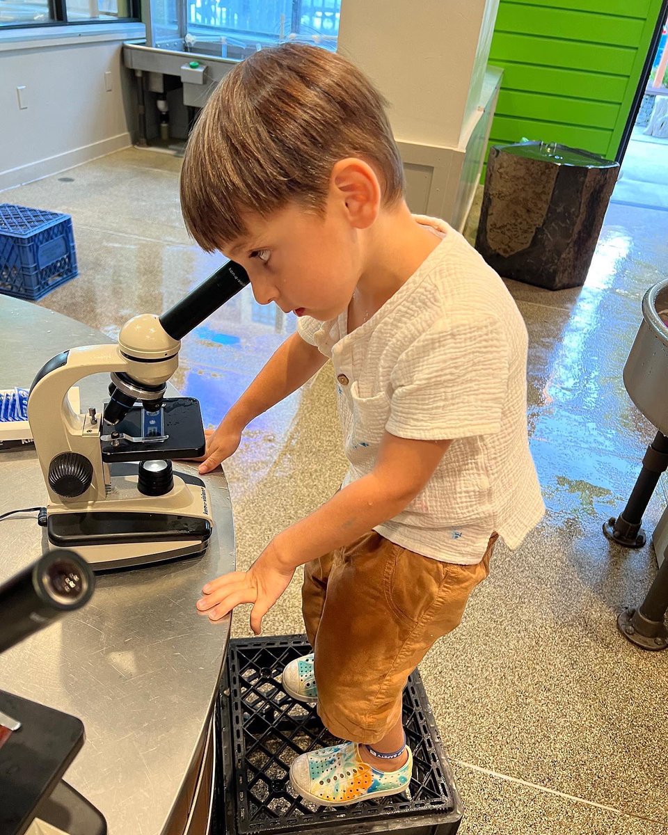 KidsQuestCM's tweet photo. Rise and shine it’s the weekend! Enjoy free programs today like Artful Mornings in the Art Studio from 10am-12pm or Weekend Playshops from 2-4pm. 

Saturday: 9:30am – 5:00pm
Sunday: 9:30am – 5:00pm

https://t.co/74UuwOaB73

#weekendvibes #familytime https://t.co/9ksJ2RhqVP