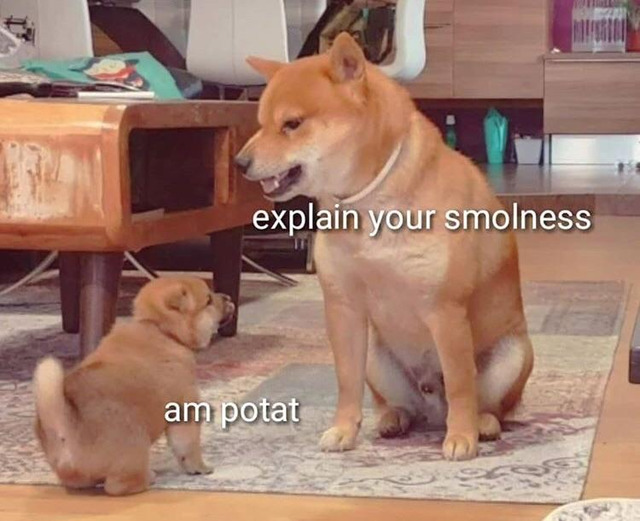 FfHgG3-XwAAYY1G?format=jpg&name=small