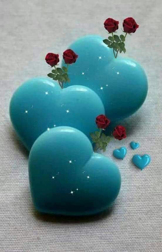 ombader__6's tweet photo. @Algazalah3 https://t.co/lh6c28LowK