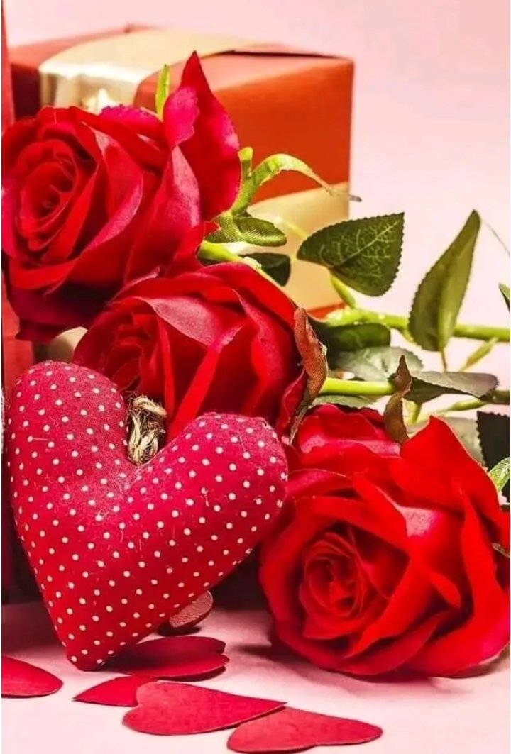 Girasol43692144's tweet photo. #SiempreFielA Ese gran sentimiento, ese que se llama Amor.
#DeZurdaTeam 
@DeZurdaTeam_ https://t.co/9PpRHOTXKZ