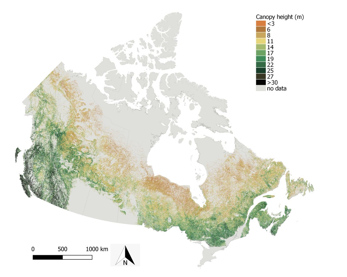 🚨Can #GEDI be used to map forest canopy height in #Canada? 
In our newest publication, we compared the spaceborne #lidar #GEDI and #ICESat2 associated with #Sentinel1, #Sentinel2 and #PALSAR2 to produce canopy height maps in forested ecosystems of Canada
mdpi.com/2072-4292/14/2…