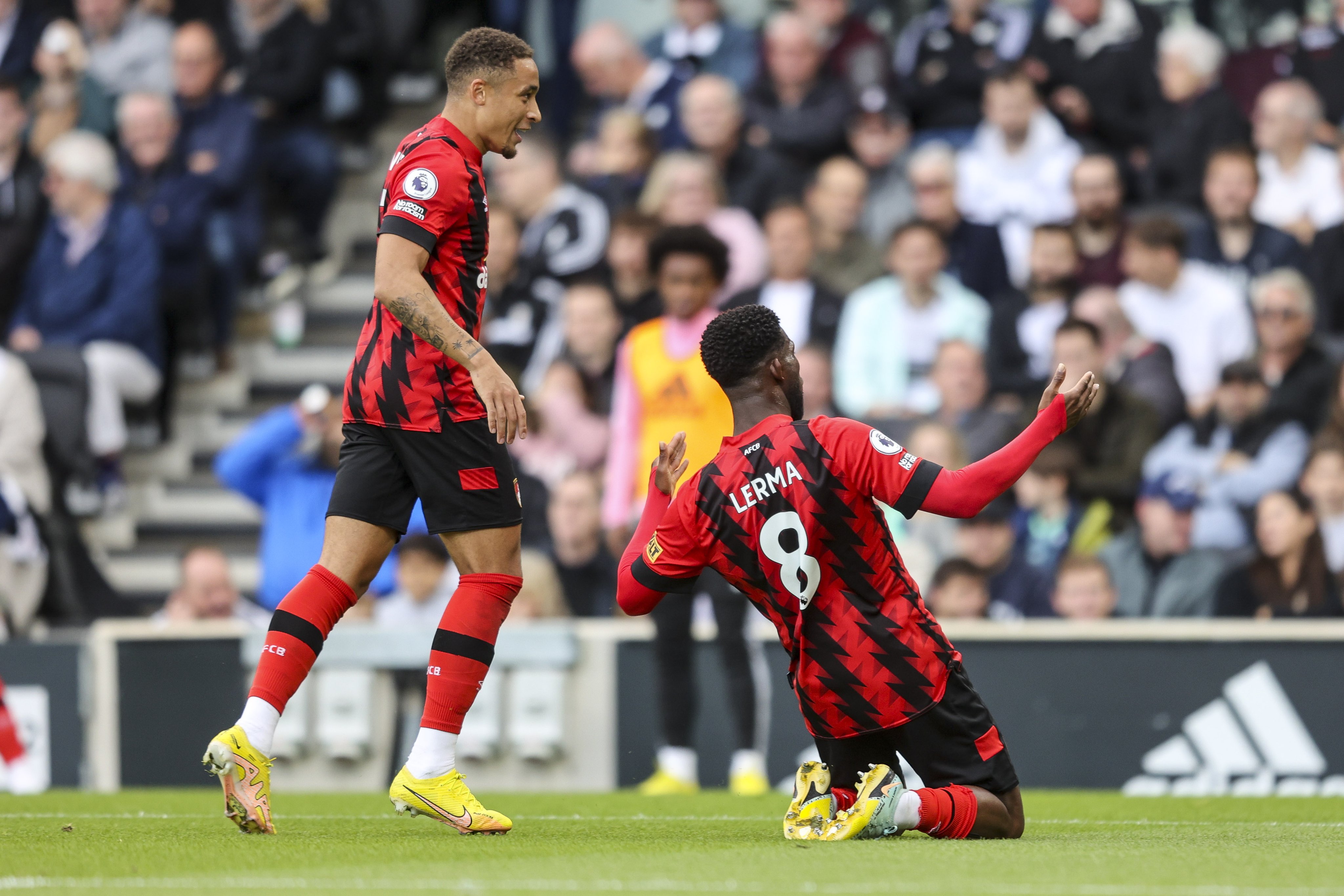 Fulham FC vs AFC Bournemouth / Twitter