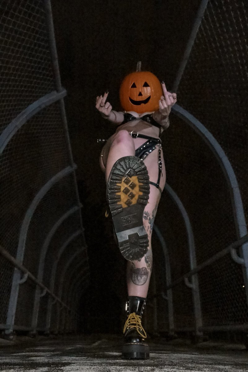 indoor_wildling's tweet photo. 🎃 https://t.co/T8CyVaMH2J