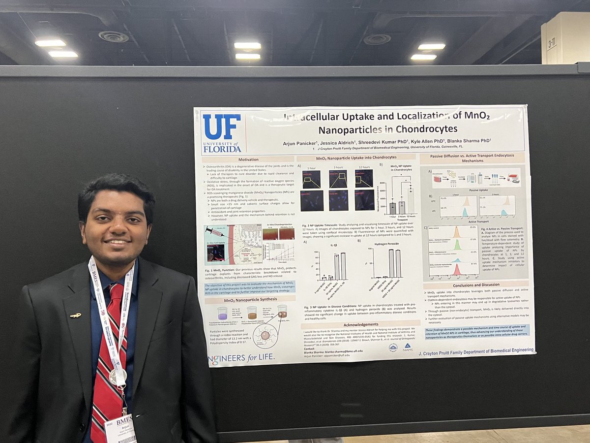 Arjun Panicker is presenting his work on evaluating manganese dioxide nanoparticle uptake in chondrocytes to better understand how these particles scavenge reactive oxygen species in cartilage to treat osteoarthritis. <a href="/BlankaSharma/">Blanka Sharma</a> #BMES2022