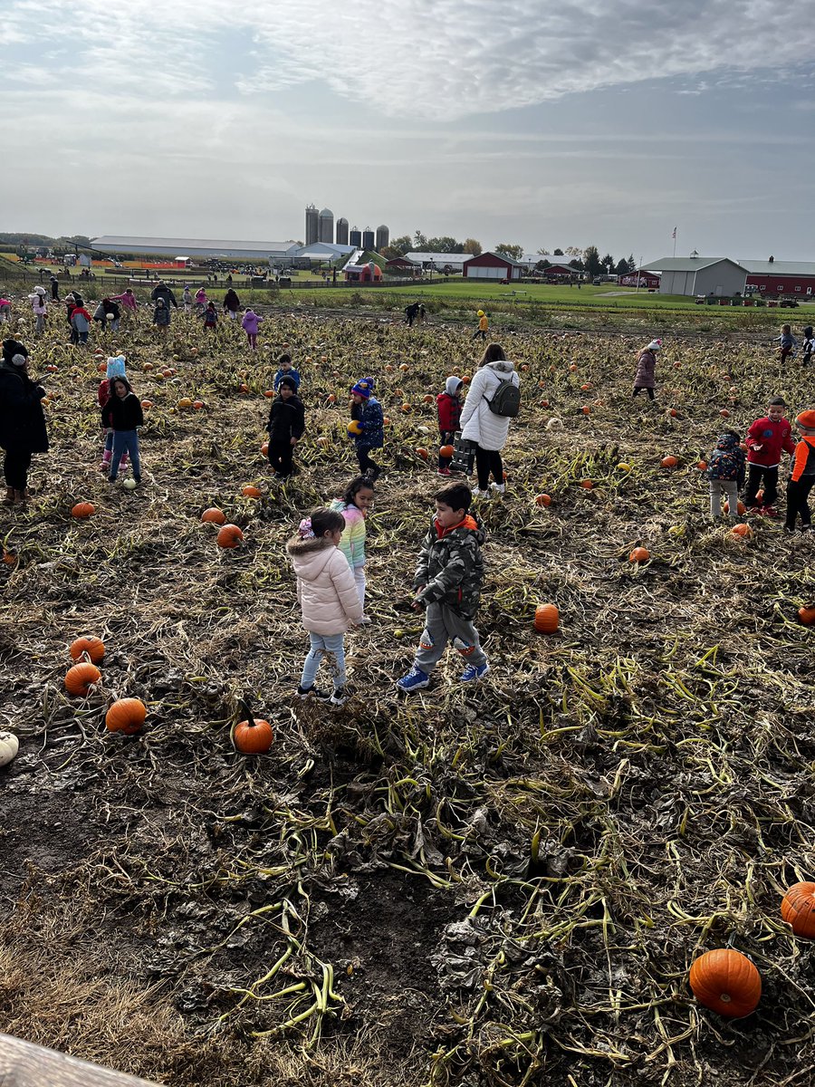 AvonNovas's tweet photo. It was a busy Friday for our Novas! Kindergarten and first graders went on a field trip to Stade's Farm in McHenry. This was the first field trip in a few years and these smiling faces say it all! ⭐️ 🎃 https://t.co/ERCXAPWDSG