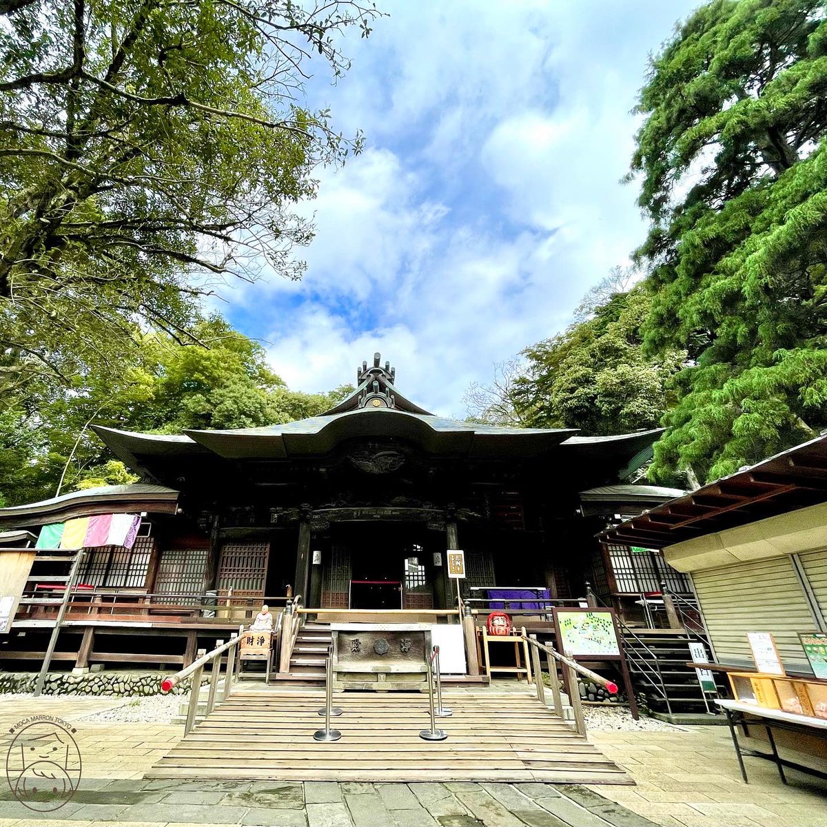 TokyoMoca's tweet photo. プチ旅行気分で深大寺へ💕東京でありながら緑豊か🌳美味しいお蕎麦とビールで乾杯してきました🍻✨ #深大寺 #寺 #参拝 #湧水 #お蕎麦  #ビール #お酒lover #お散歩女子 #youtubeチャンネル   #beer  #cheers #soba #hangaround #youtube

動画はコチラから💖
https://t.co/44OtidXkfq https://t.co/nIREnMel81