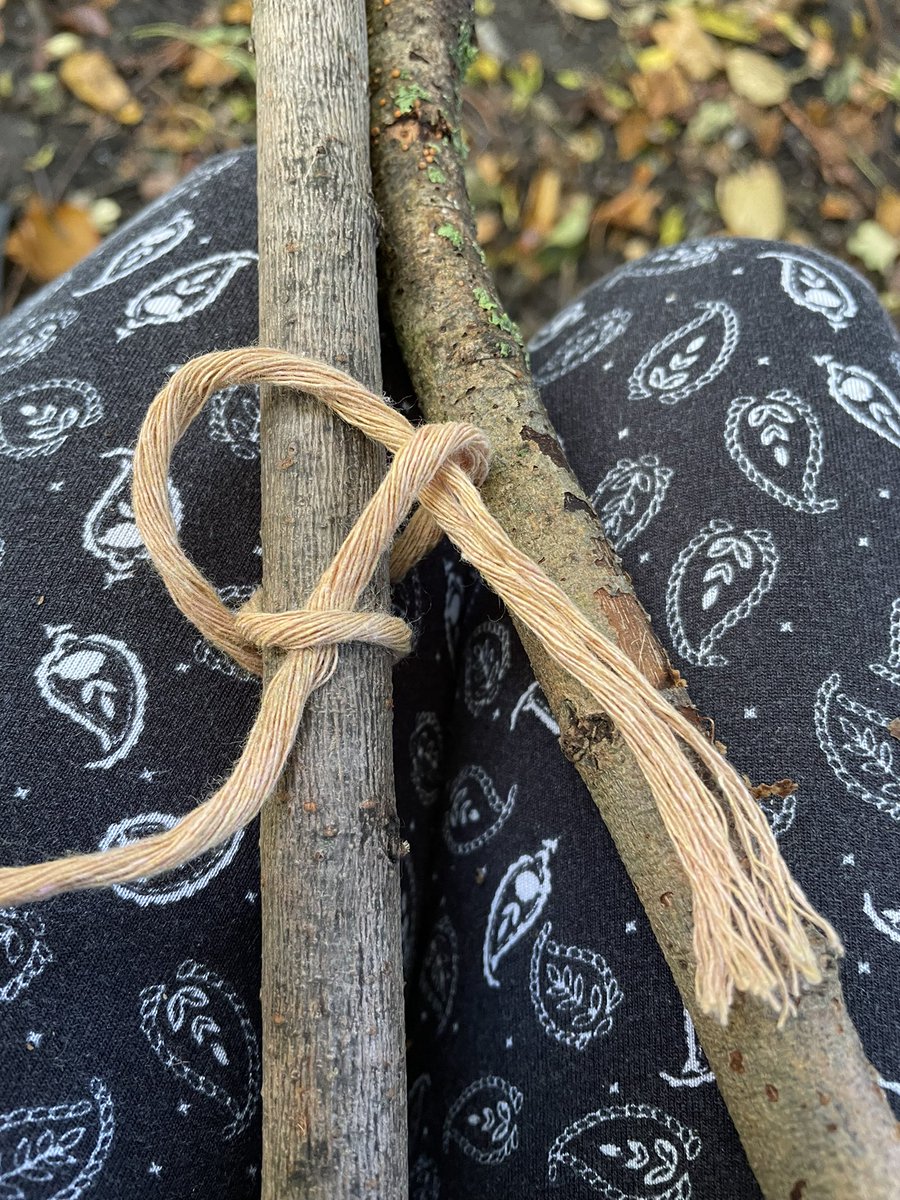 LucyColbourne4's tweet photo. Had a lovely time at Schools gardening and forestry course.💚✨💚 https://t.co/sePrbfLLSN