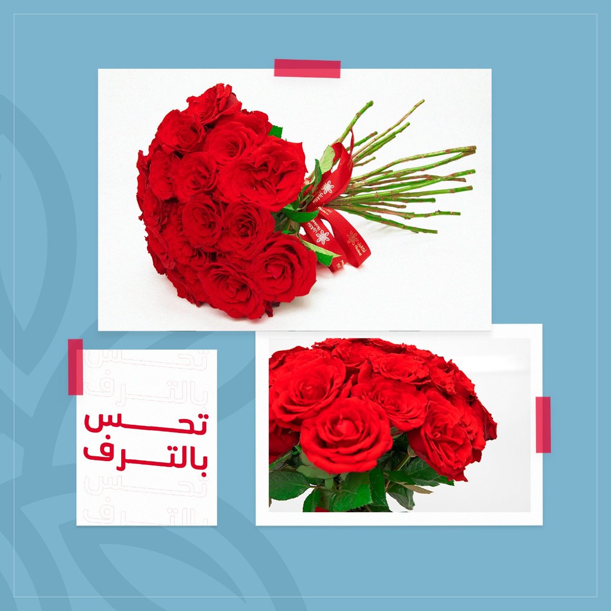 AkaleelApp's tweet photo. بإبداع وفن نجسد مشاعر أيامكم المميزة في تنسيقات و باقات توفّي للحظة حقها من البهجة.
باقة بديعة من متجر أكاليل لذكرى جميلة و دائمة. 
#أكاليل #ورد #باقة_ورد #باقات_ورد #الدمام #الخبر #الدمام_الخبر #توصيل https://t.co/4FsauDvTsg
