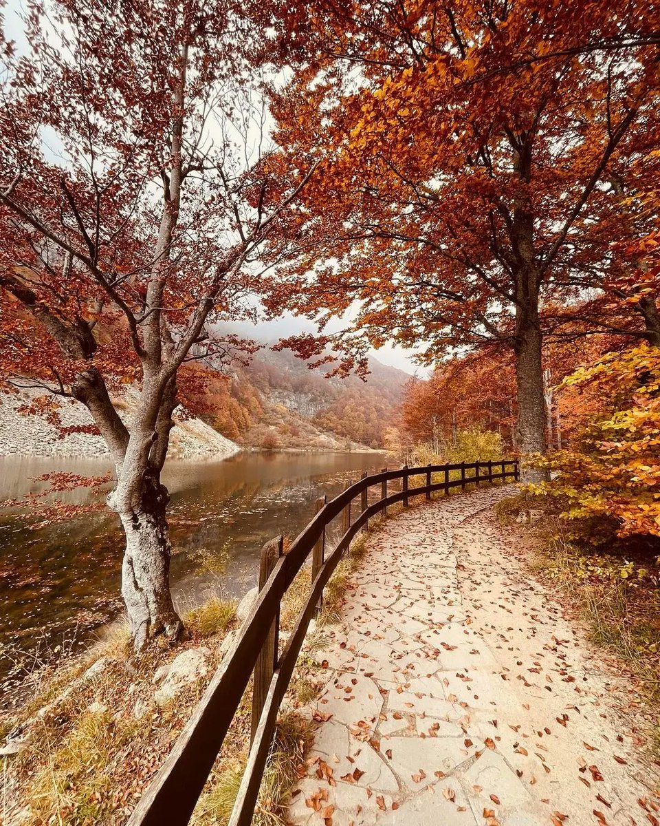 ModenaDintorni's tweet photo. L'#autunno al #LagoSantoModenese è magia! 🍁 

Qualche giorno fa vi abbiamo mostrato tramite un video la bellezza autunnale che ogni anno contraddistingue questo luogo. Oggi vogliamo  mostriamo tramite queste bellissime foto!

Ph martyoltre | Via #modenaedintorni https://t.co/aU4ew8kC6x