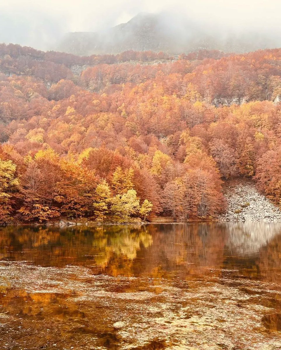 ModenaDintorni's tweet photo. L'#autunno al #LagoSantoModenese è magia! 🍁 

Qualche giorno fa vi abbiamo mostrato tramite un video la bellezza autunnale che ogni anno contraddistingue questo luogo. Oggi vogliamo  mostriamo tramite queste bellissime foto!

Ph martyoltre | Via #modenaedintorni https://t.co/aU4ew8kC6x