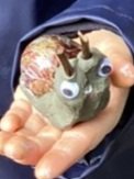 mrsbarlowteach's tweet photo. Conker snail 🐌 https://t.co/jMkjBusyJk