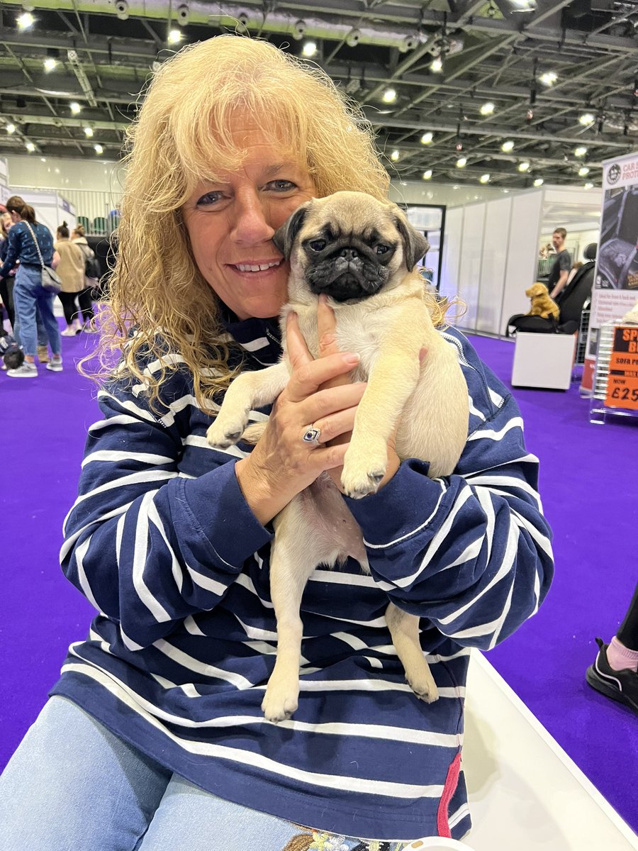 The_NFRSA's tweet image. We are having SO MUCH FUN!

If you’re coming to @DiscoverDogsUK @ExCeLLondon this weekend. Come by and see us. TS244. We have Calendars - we have Beanies - we have Hoodies - we have STUFF! 

And we have a very cool raffle too. #dogs #DogsOnTwitter #dogslife