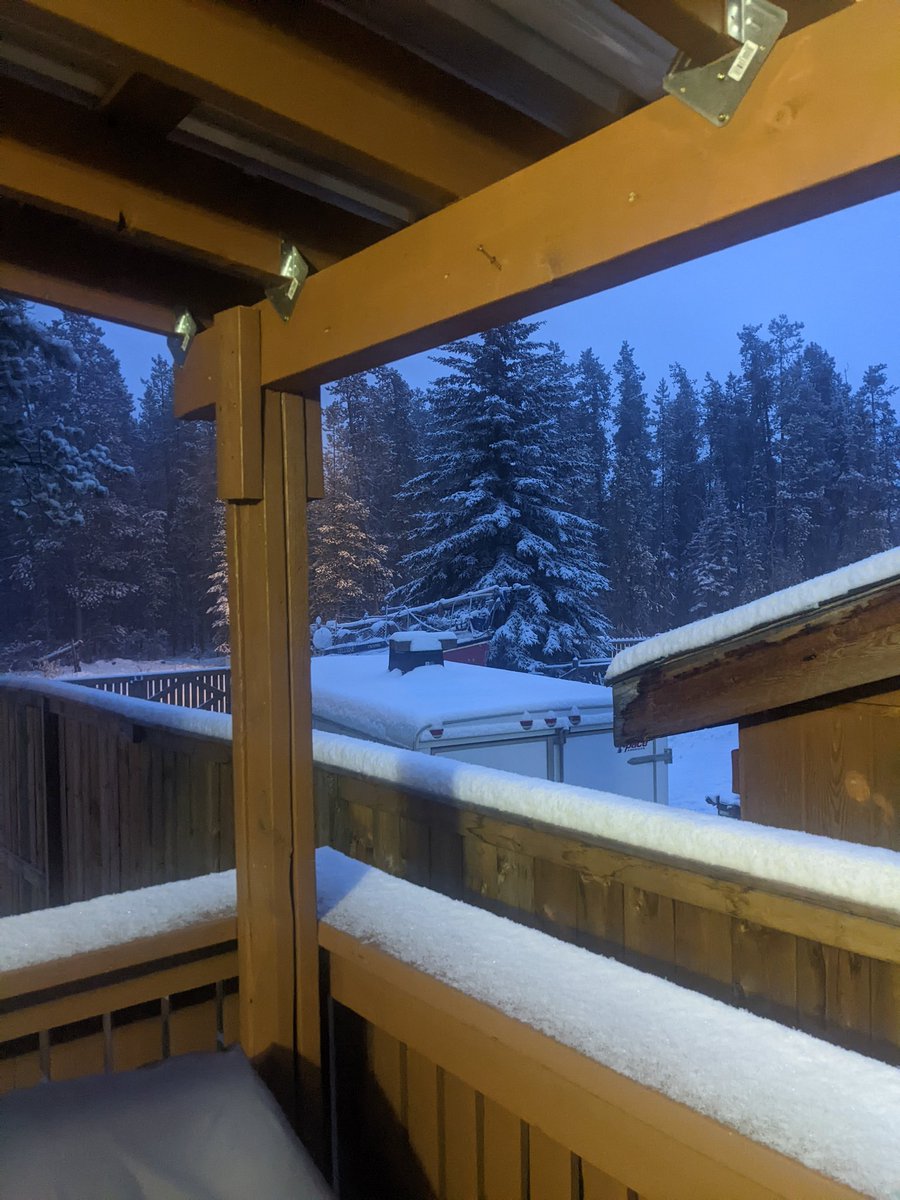 ArtzDiff's tweet photo. GM Fam, first snow of the season, winter almost here ๐ฅถ #StayDiff
#CardanoNFT
#CNFTCommunnity
#Cardano https://t.co/fQVDMG0Dsv
