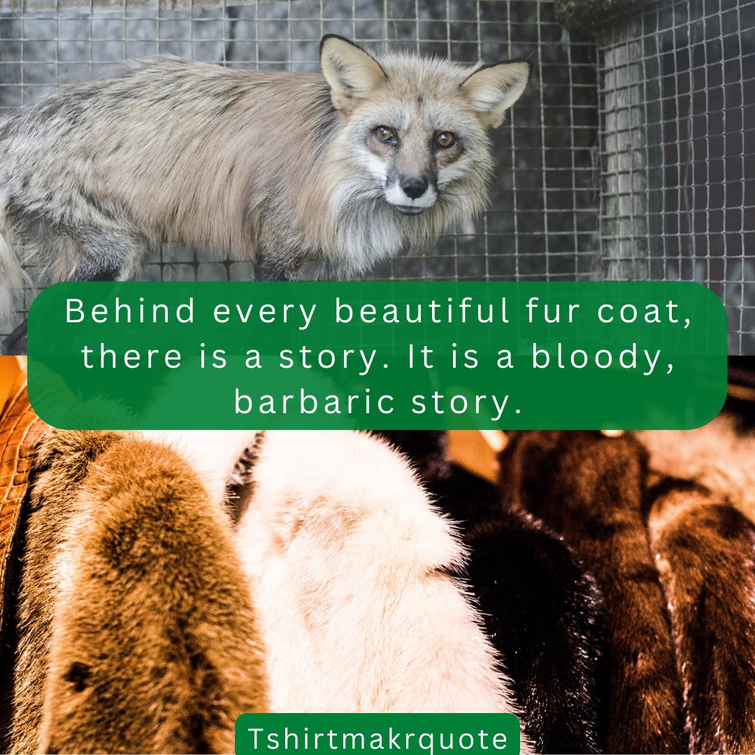 Tshirtmakrquote's tweet photo. Behind every beautiful fur coat, there is a story. It is a bloody, barbaric story.
🦊-Say no to fur coat. Go #vegan for all the animals.
#furcoat #banfur #banfurfarming #savefox #veganism
#VeganForTheAnimals #veganfood #govegan #veganlifestyle #SaveAnimals #BeKind #plantbased https://t.co/6uSh8RmT1E