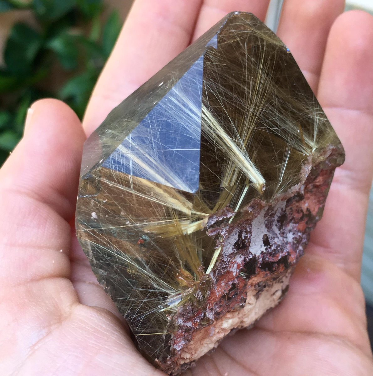 exoticcrystals's tweet photo. ⚜️Rutilated Smoky Quartz Crystal from Novo Horizonte, Bahia, Brazil⭐️ #Quartz #Rutile #Rutilated https://t.co/O0EuCQ4G6U