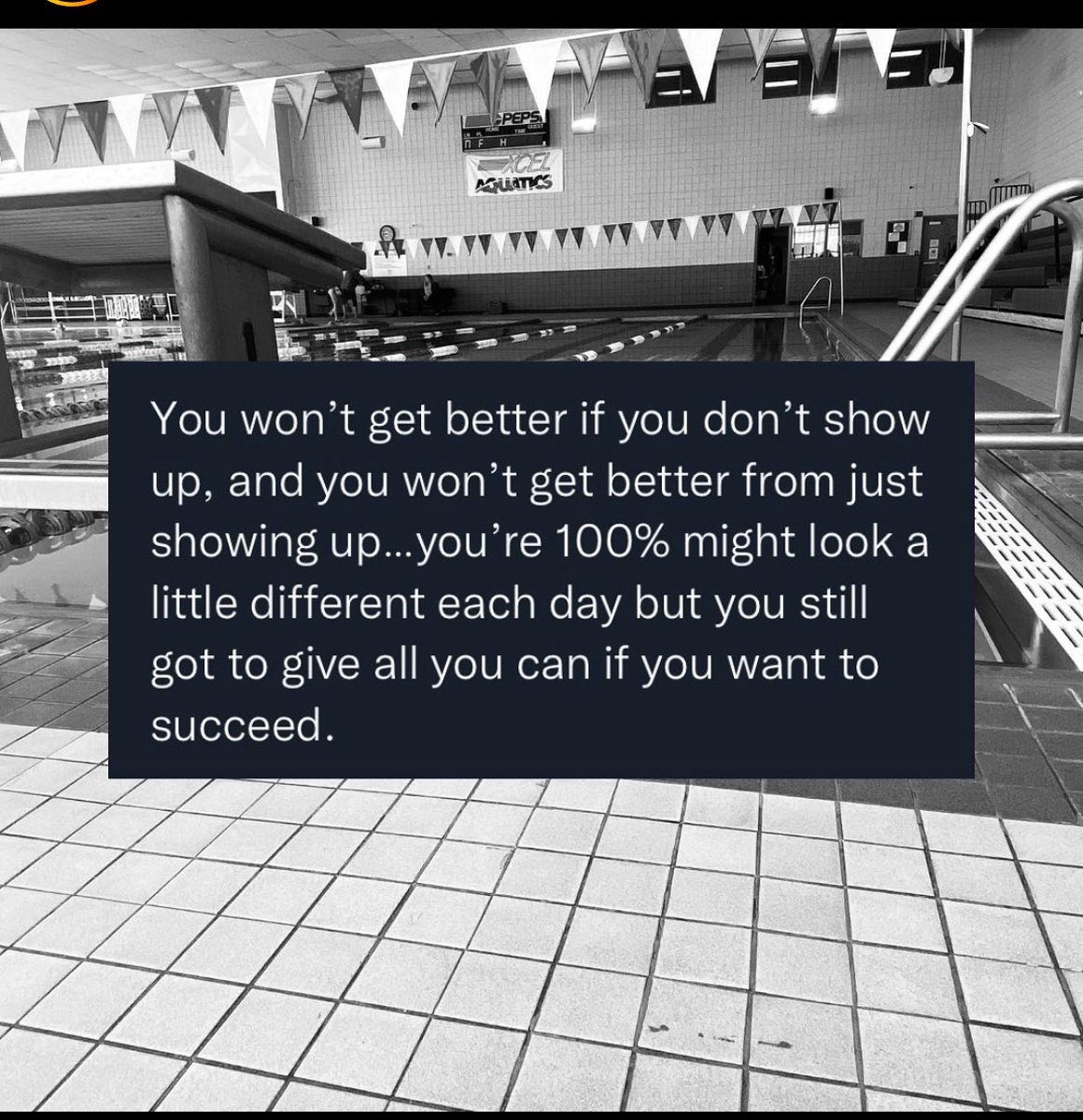 Bushey Swimming Club tweet media