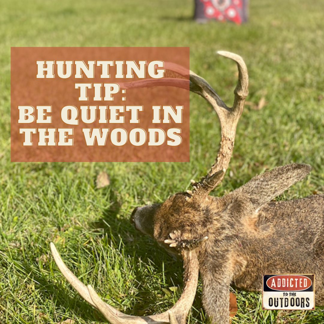 Outdoor_TV's tweet photo. For all of those who don't know 🤣 🤣

#hunting #hunting101 #addicted #atto #huntingtips

Rinehart Targets https://t.co/92uR3o3hTN
