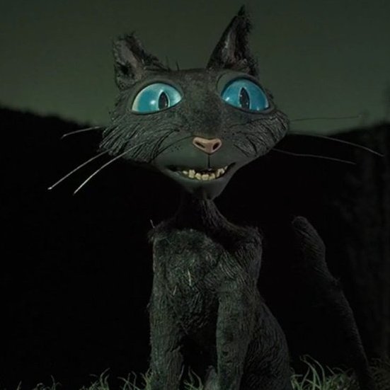 Coraline Cat
