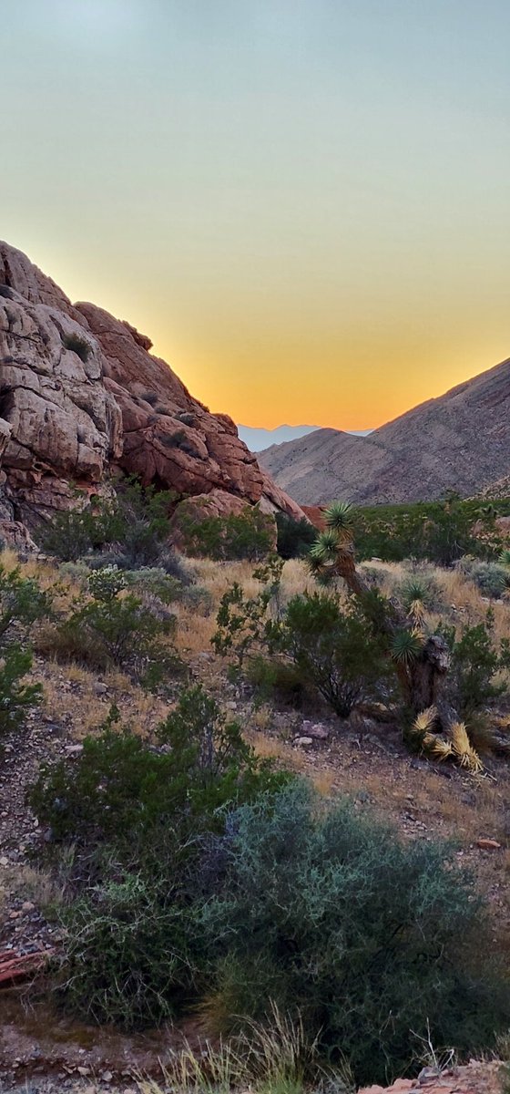 bertadee812's tweet image. Special evening yesterday; forever in awe of standing where others have been thousands of years ago.