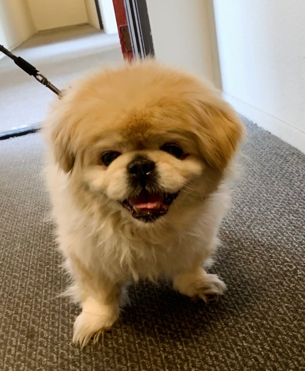 Willie Muse tweet media