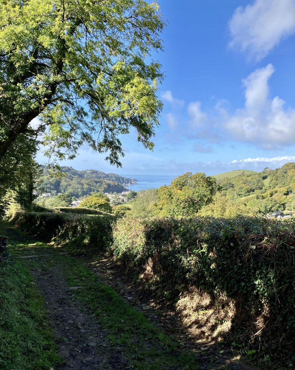 sharkylammas's tweet photo. #villagelife #Happydays #bluething https://t.co/BhUO2CAbCU