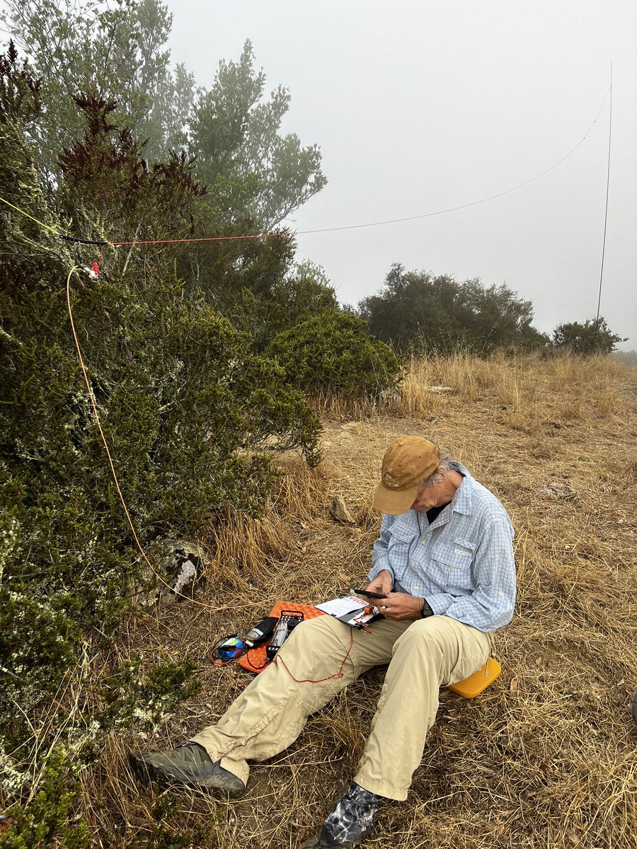 Rex KE6MT tweet media