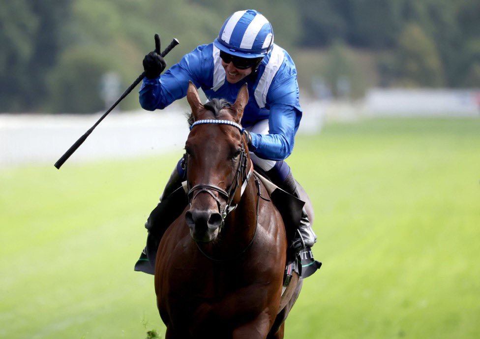 racingblogger's tweet photo. Happy Retirement BAAEED! 🔵⚪️

⭕ 11 races
🥇 10 wins
💰 £2,691,962 career earnings
🥇 6 Brilliant Group 1s
🚀 Shadwell Studs best horse

Thanks for the memories champ 👏 https://t.co/WOn95vjH8w