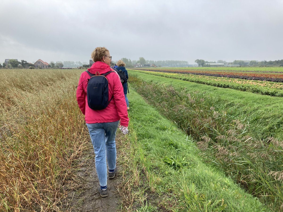 Dag 3 van de 4daagse Duin- en Bollenstreek zit er ook op. Langs strand van Noordwijk naar Katwijk, langs dahlia’s en door de leuke winkelstraten in Katwijk en Noordwijk. En iets minder nat😀