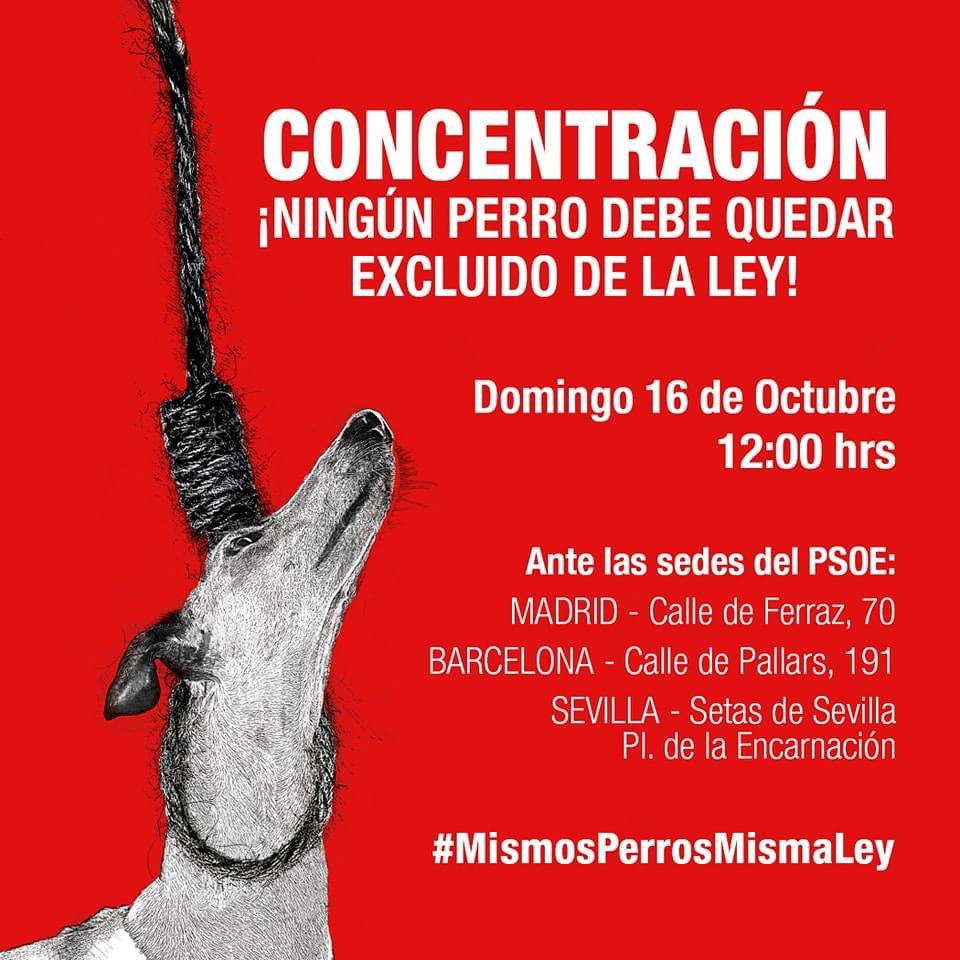 Mercedeska's tweet photo. @SergioGaTorres Pues ahora no hay excusas. Por favor acudan a las concentraciones convocadas mañana!! Ellos nos necesitan más que nunca!! https://t.co/3HoaGOQ9lX