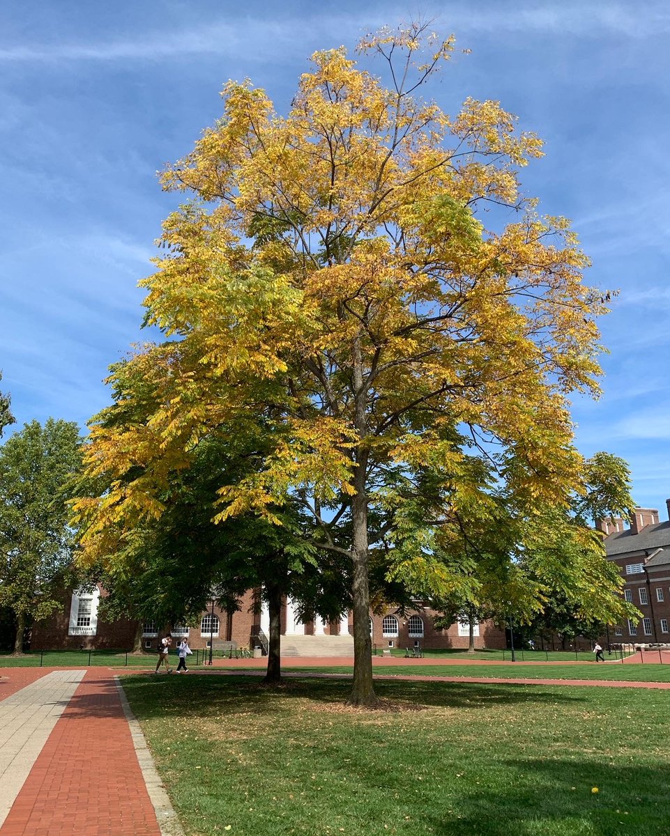 Univ. of Delaware tweet media