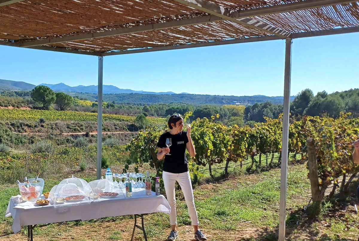 copecastellon's tweet photo. La comarca del #AltoPalancia también es tierra de #Vinos. Hoy hemos asistido al #FamTrip con #GastroCopeCS y #TurisCopeCS a los viñedos y bodegas de @coopviver #SaboresAltoPalancia #Mediterráneoenvivo #CastellóRutadeSabor https://t.co/oRcawHqB2J