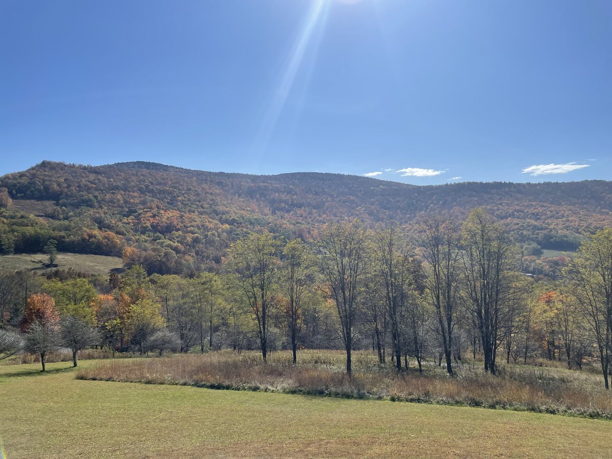 My view this morning from Slatyfork, Pocahontas County. #AlmostHeaven